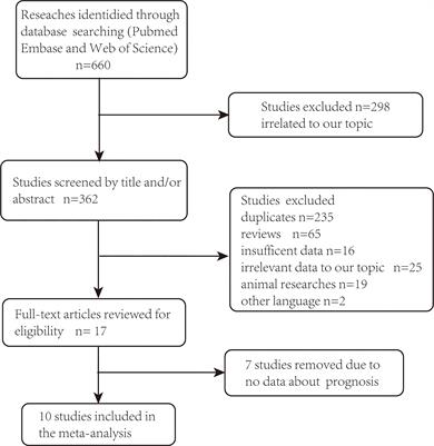 The Clinicopathological Significance and Prognostic Value of Androgen Receptor in Endometrial Carcinoma: A Meta-Analysis